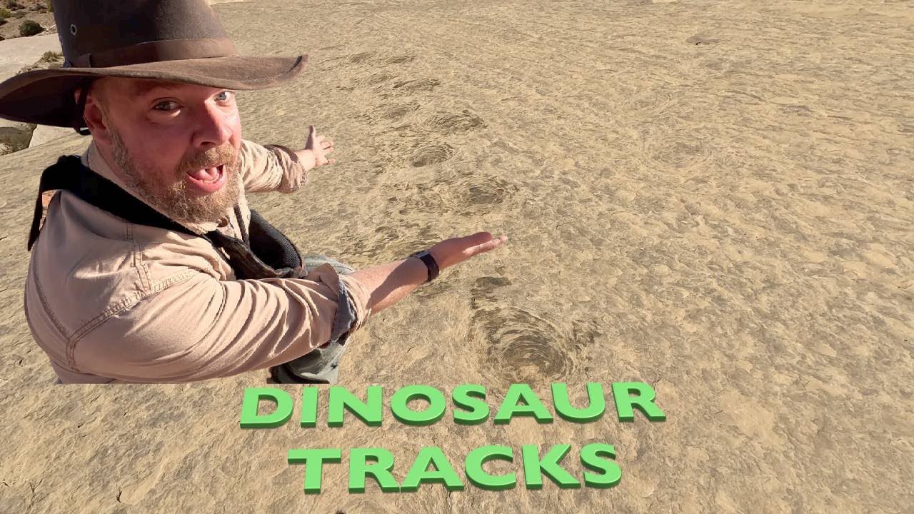 REAL Dinosaur Trails!!! Twenty Mile Dinosaur Trackway Utah.
