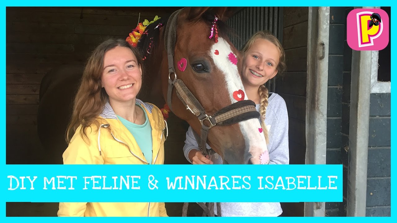 Verjaardagstaart voor je Paard | Vlog 5 DIY met winnares Isabelle || Penny TV