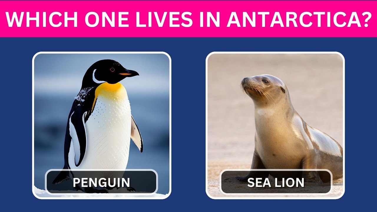 🧠 How Good Is Your Knowledge of SEA ANIMALS? 🐳🦐