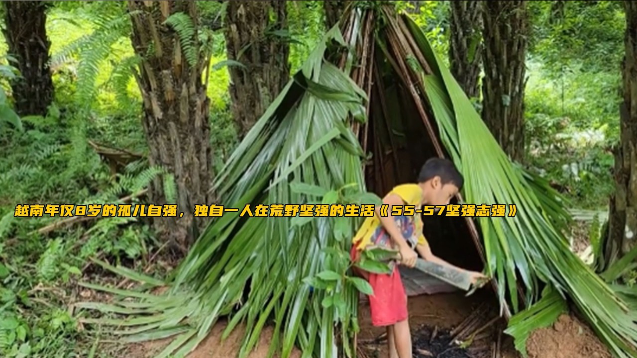 越南年僅8歲的孤兒自強，獨自一人在荒野堅強的生活《55-57堅強志強》