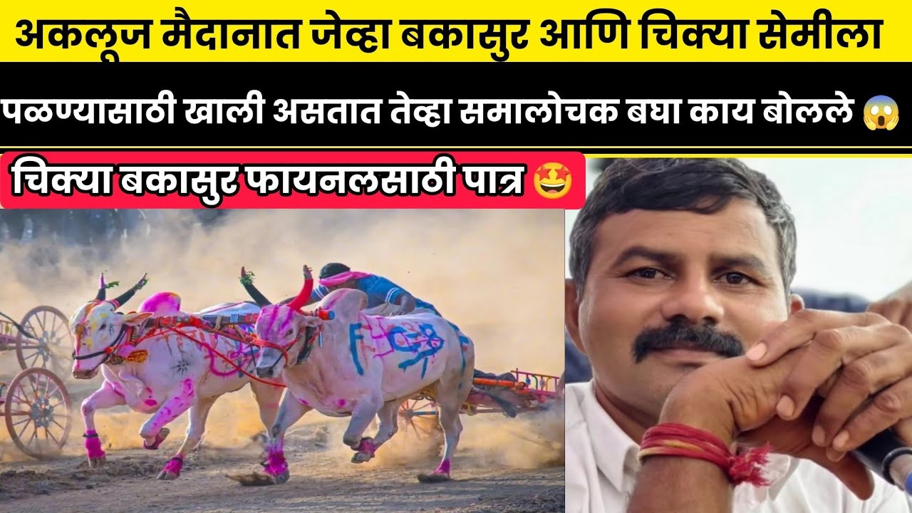अकलूज मैदानात जेव्हा बकासुर आणि चिक्या सेमीला पळण्यासाठी खाली असतात तेव्हा समालोचक बघा काय बोलले 😱 