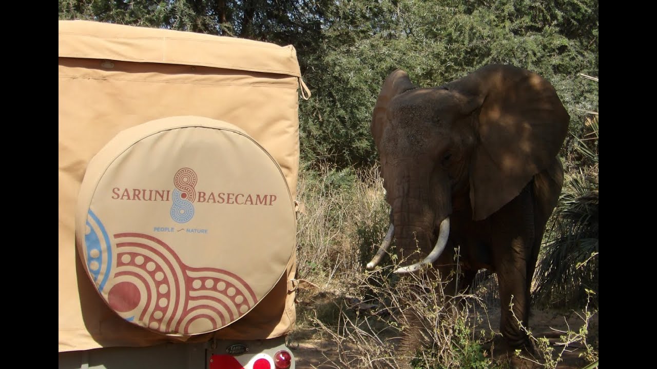 Saruni Samburu Our Stories of an Awesome Safari Camp