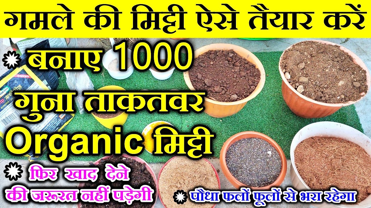 गमले की मिट्टी कैसे तैयार करें|How to make potting soil at Home in hindi|Gamle ki mitti kaise banaye