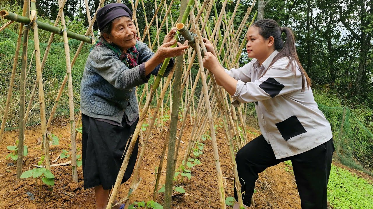 The homeless girl and the poor old woman worked together to renovate the garden.