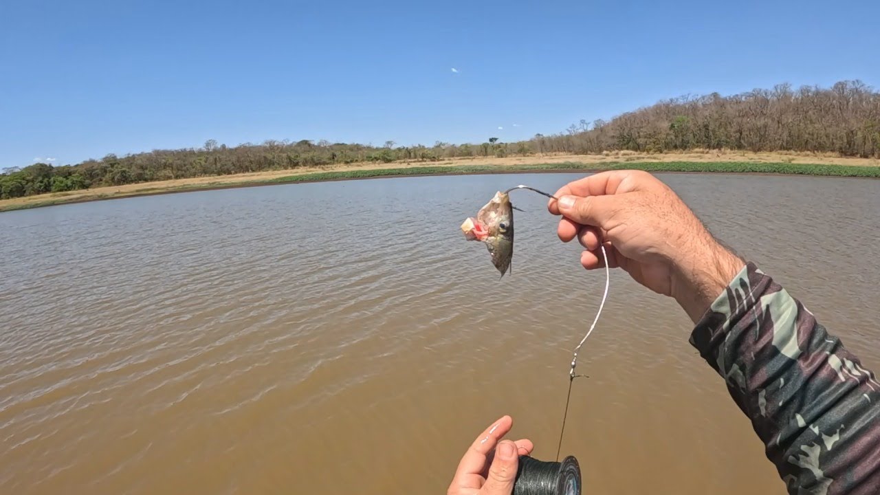 Entre o som da natureza e o cantado da vara: um mistério, uma adrenalina, uma emoção diferente.