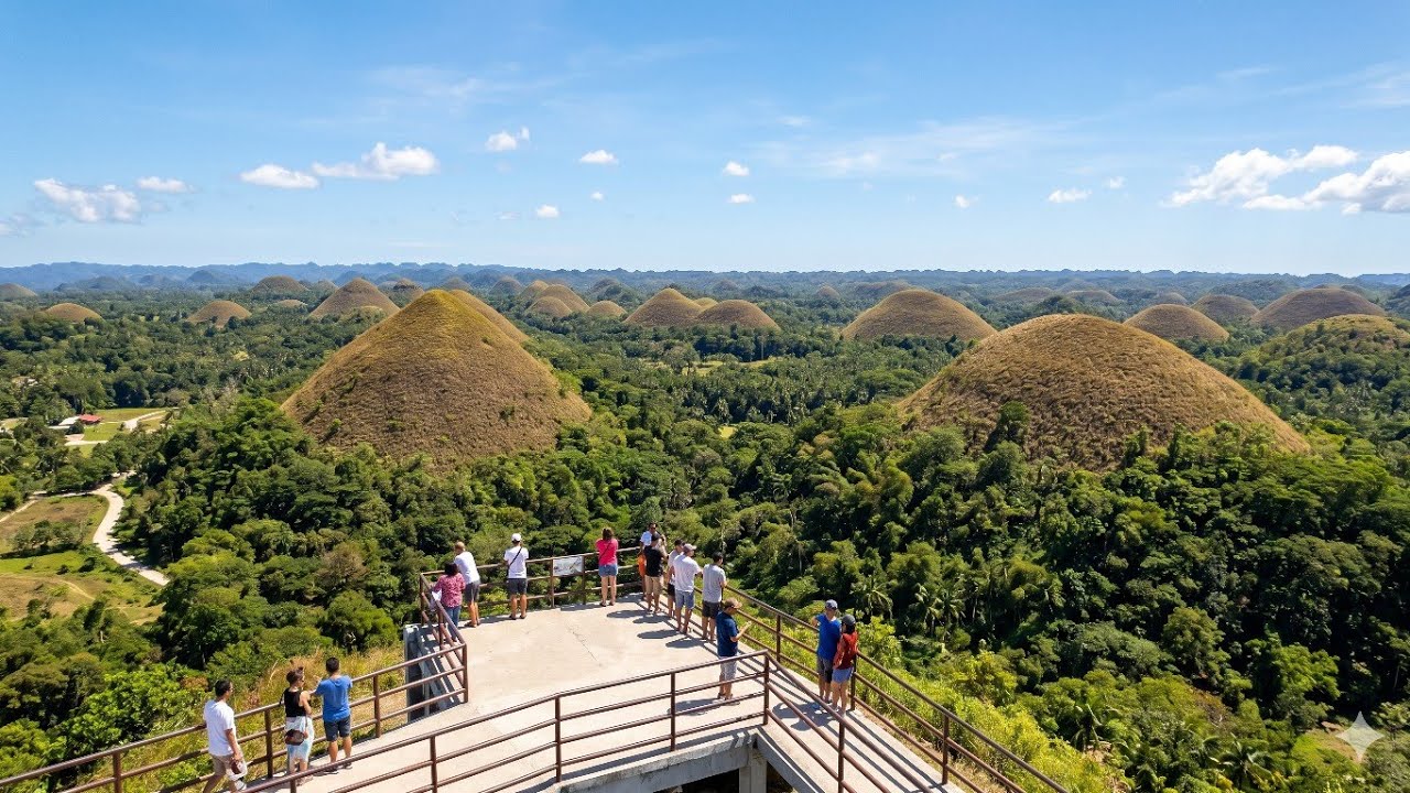 Chocolate hill , Tarsier sanctuary and white beaches in Bohol