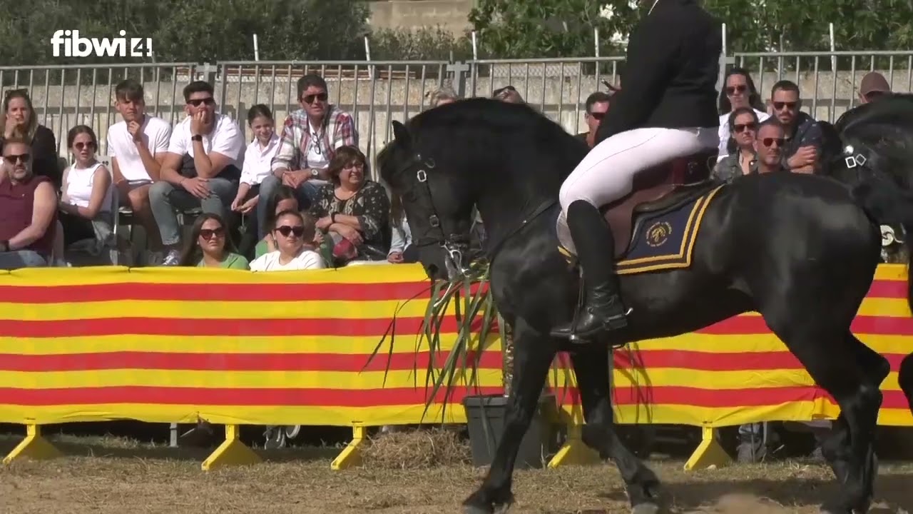 Fira de ses Salines cavalls