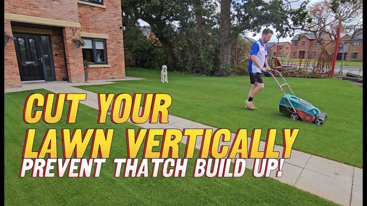 Time to Cut Your Lawn VERTICALLY / Why and How Should you Verticut Your Lawns / Verticutting