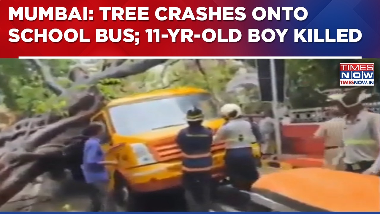 Mumbai Monsoon Mayhem: Tree Crashes Onto School Bus; 11-Year-Old Boy Killed, Four Children Injured