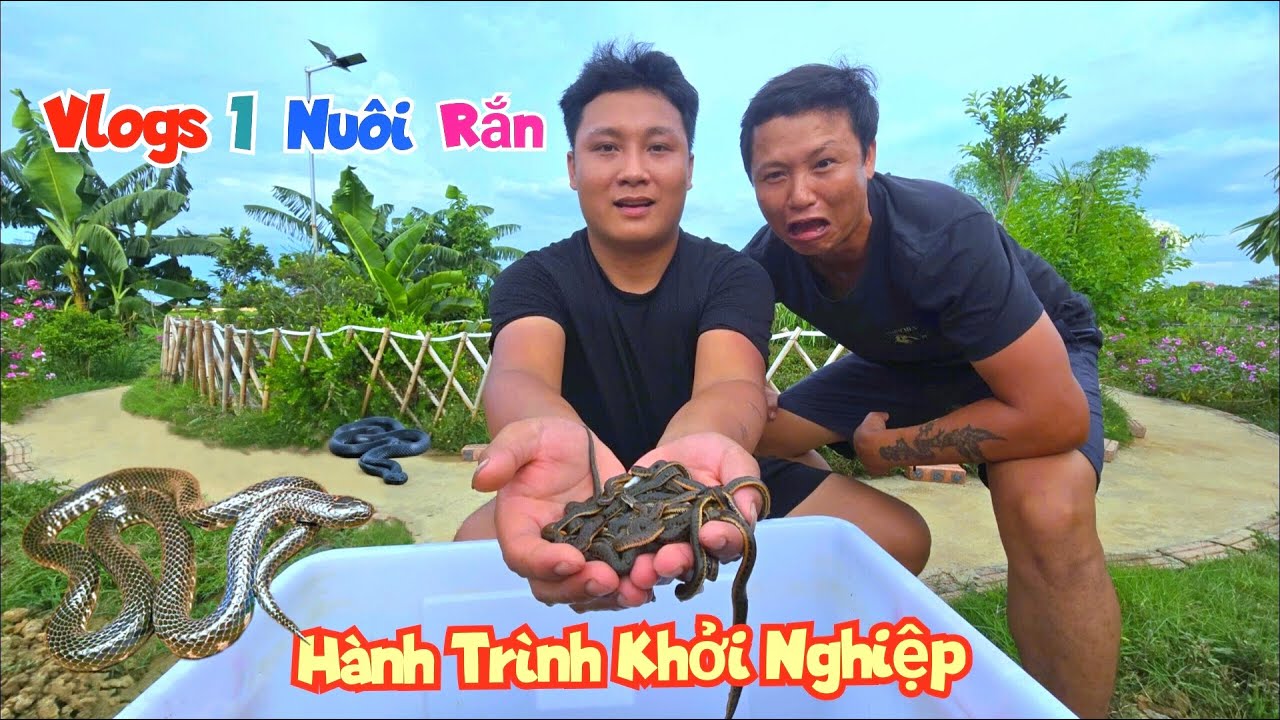 Vlog1. Thử Nuôi 100 Con Rắn Và Hành Trình Khởi Nghiệp Của Mình / Chuyện Của Đại