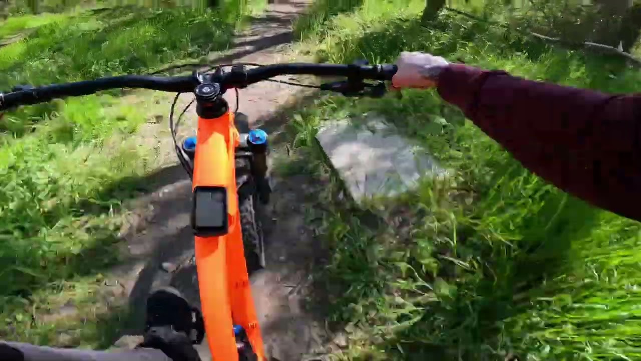 Downhill / Bikepark Berlin Wuhletal