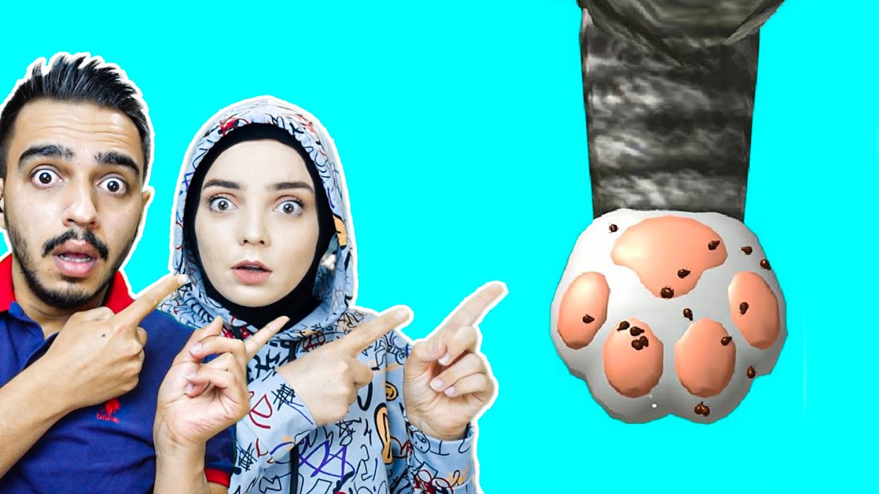 PATİ BAKIMI !! 😱 Paw Care