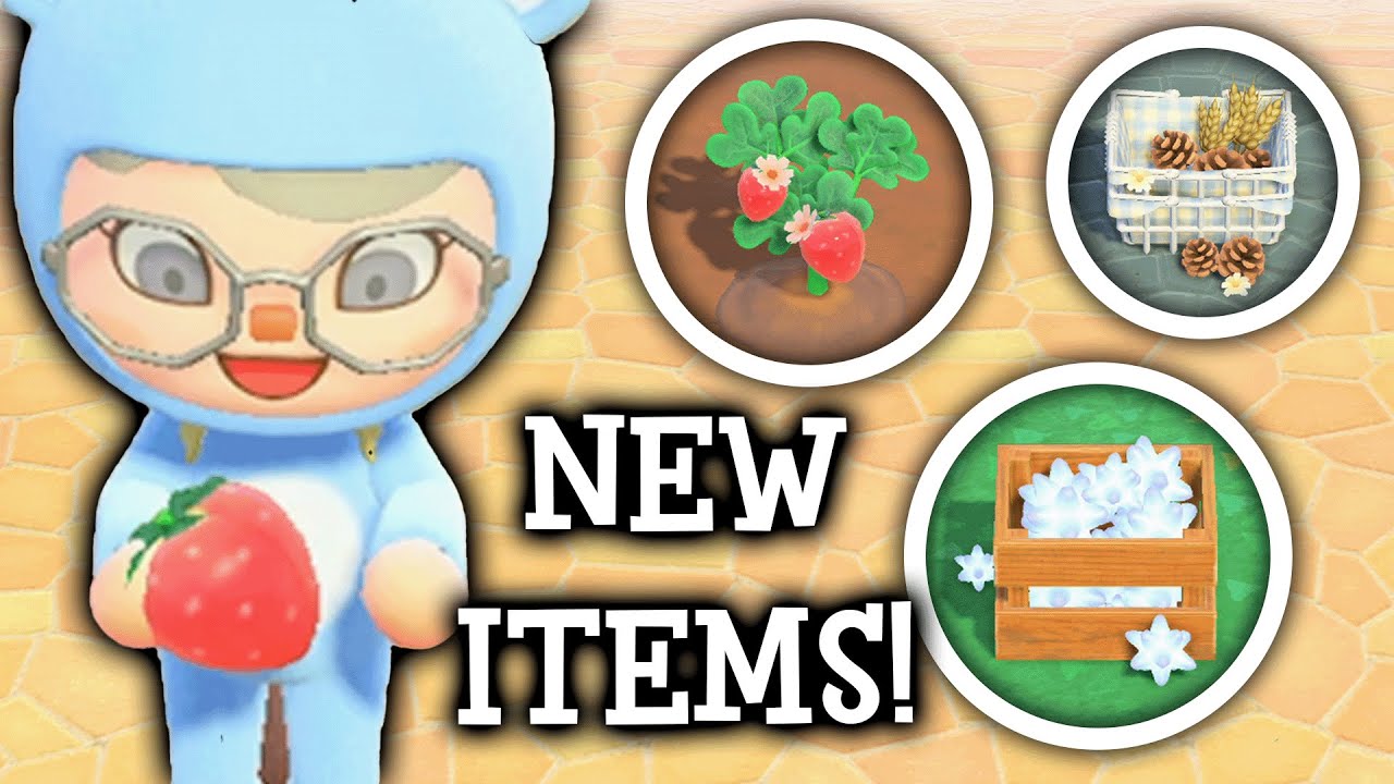 Items we wish were in animal crossing