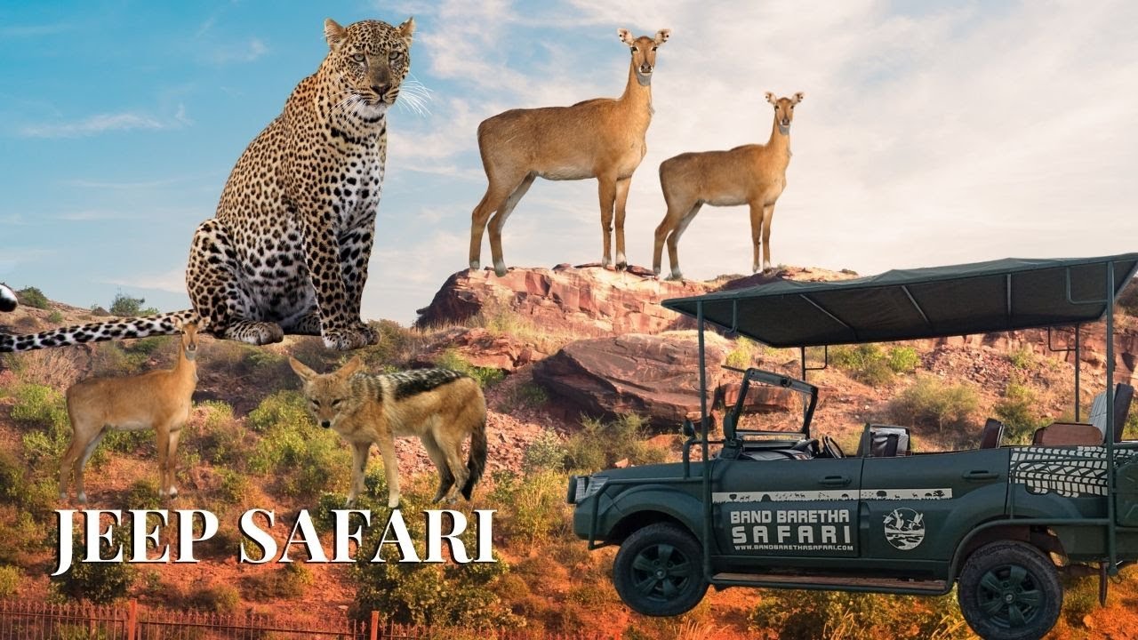 Jeep Safari Band Baretha Bharatpur