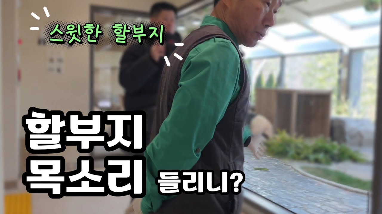 현장영상 🎦할부지 목소리 들리니? | 일찍 일어나는 아이가 할부지가 좋아하는 아이에요.🎦 💕🐼루이바오🐼후이바오💕 🗓20260209