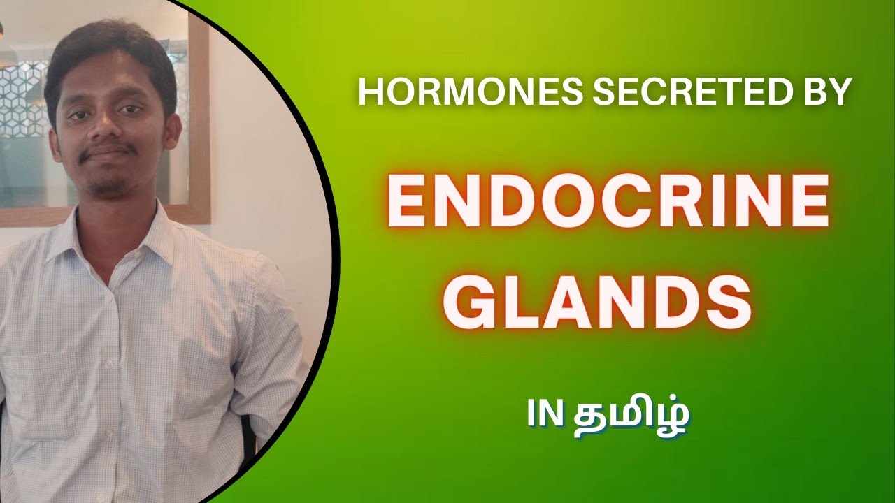 Hormones Secreted by Endocrine Glands in Tamil