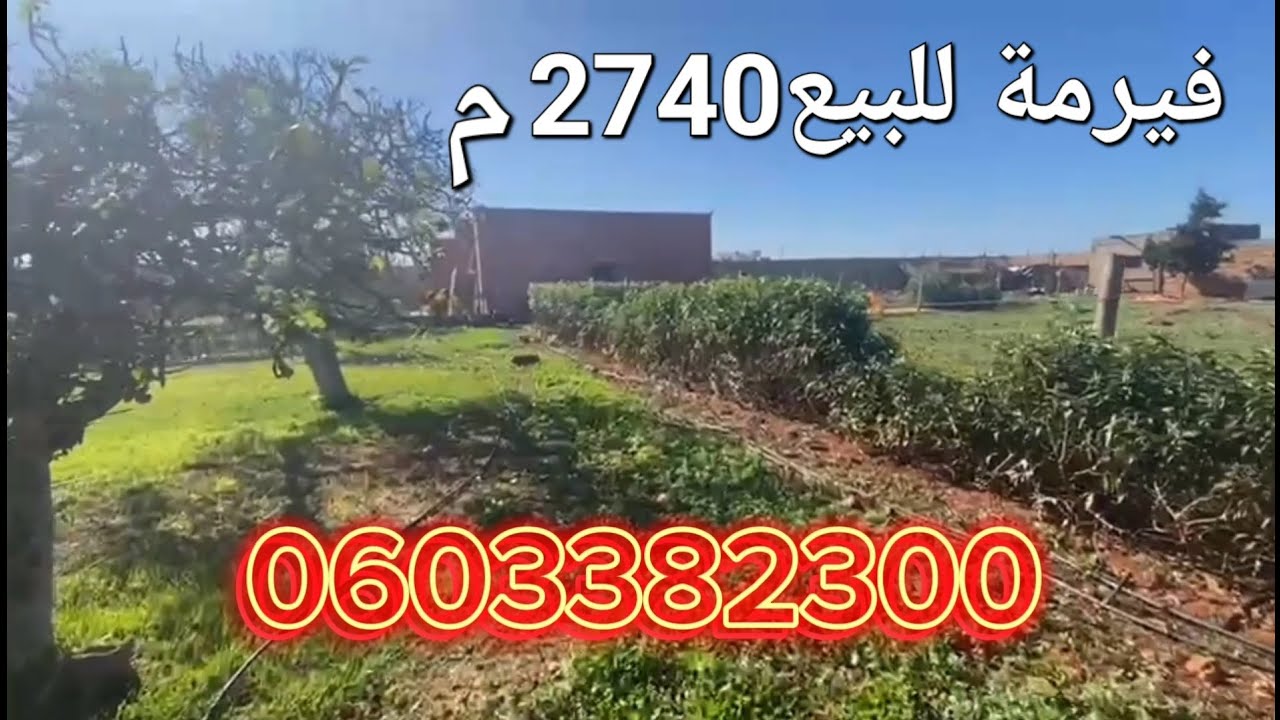 ✨فيرمة للبيع بالمغرب بمدينة الجديدة 2740متر مجهزة وتيتر +بيئر والماء والكهرباء 0661748430/0603382300
