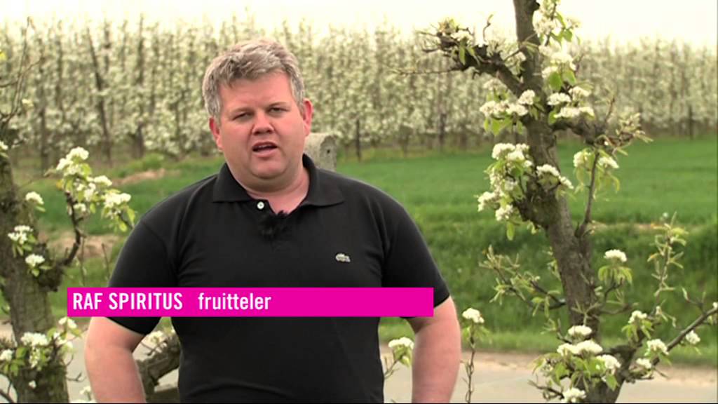 PowNews, 3 april: Belgische fruittelers boos op Albert Heijn
