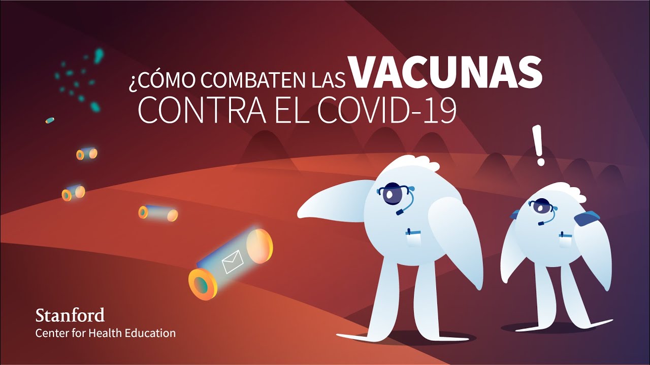 ¿Cómo Combaten las Vacunas Contra el COVID-19