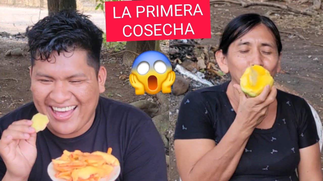 EDDY Y MI SUEGRA/Así Disfrutaron La Primera COSECHA DE MANGO