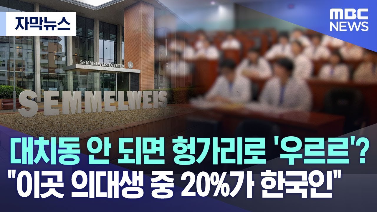 [자막뉴스] 대치동 안 되면 헝가리로 '우르르'? 
