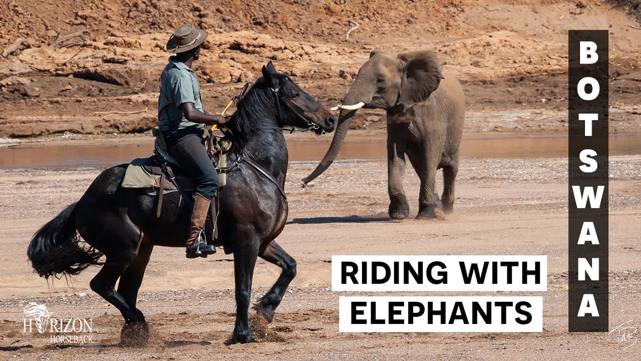Part 2 - Horse riding with elephants on a horseback safari in Africa.