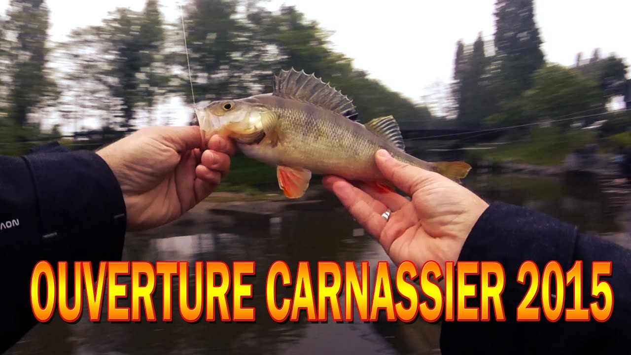 OUVERTURE 2015 StreetFishing (Rennes) P&ecirc;che du Brochet, perche et sandre au leurre souple - GoPro HD