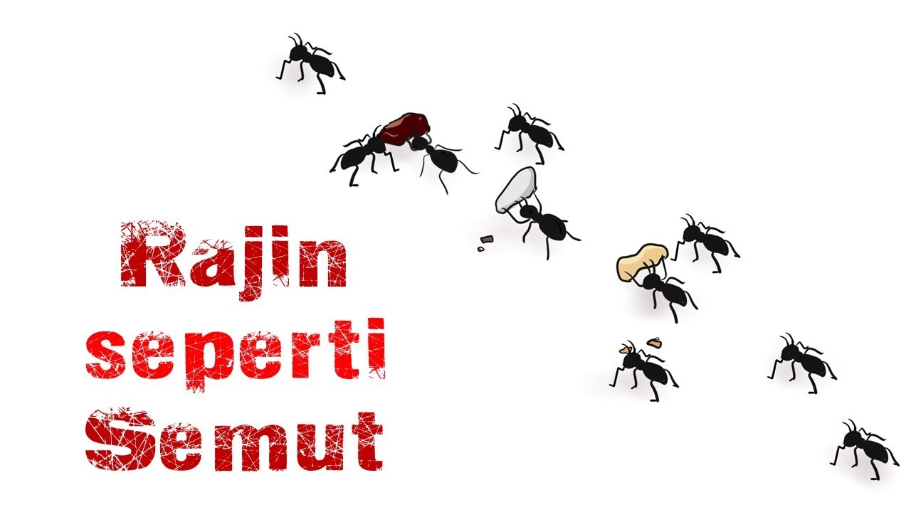 Cerita Alkitab - Rajin Seperti Semut