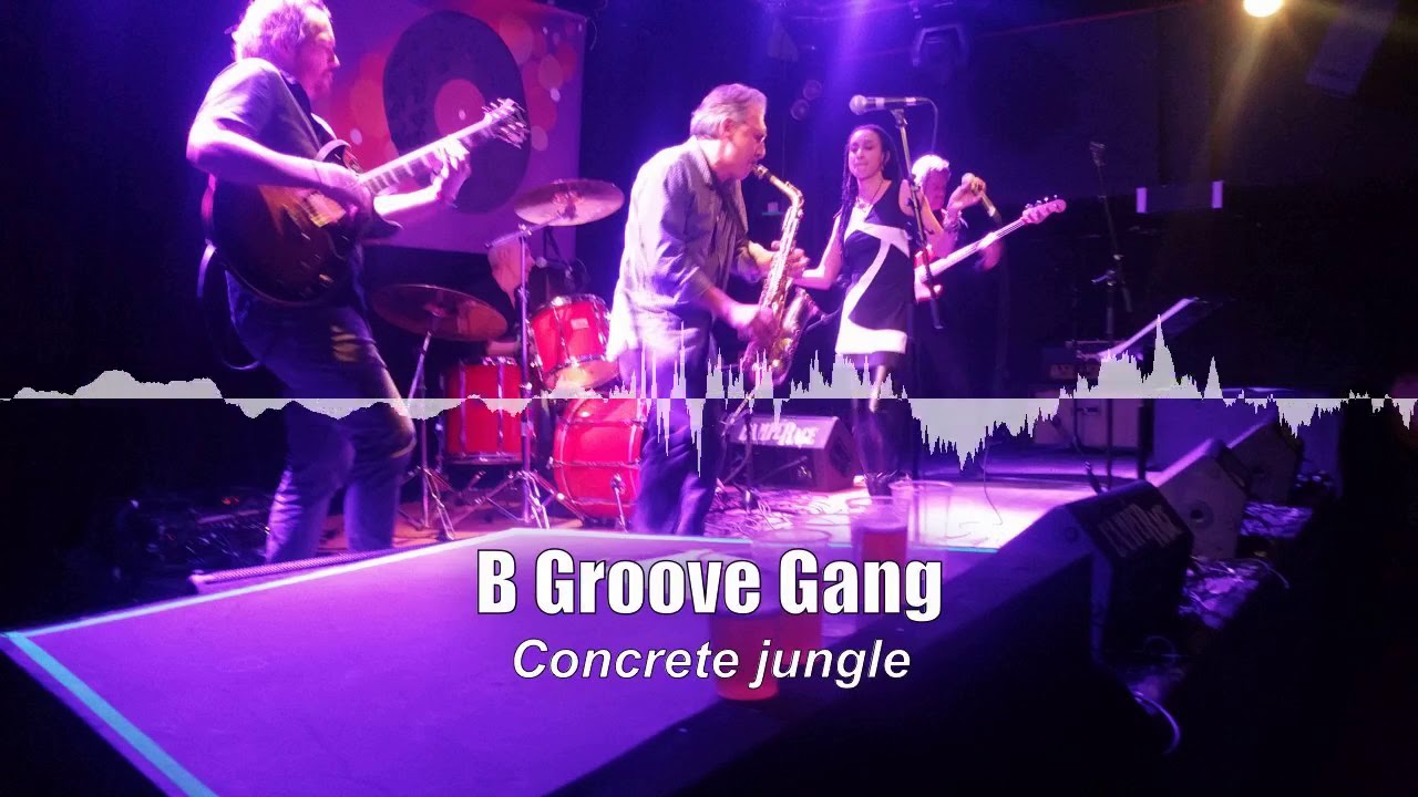 B Groove Gang - Concrete Jungle