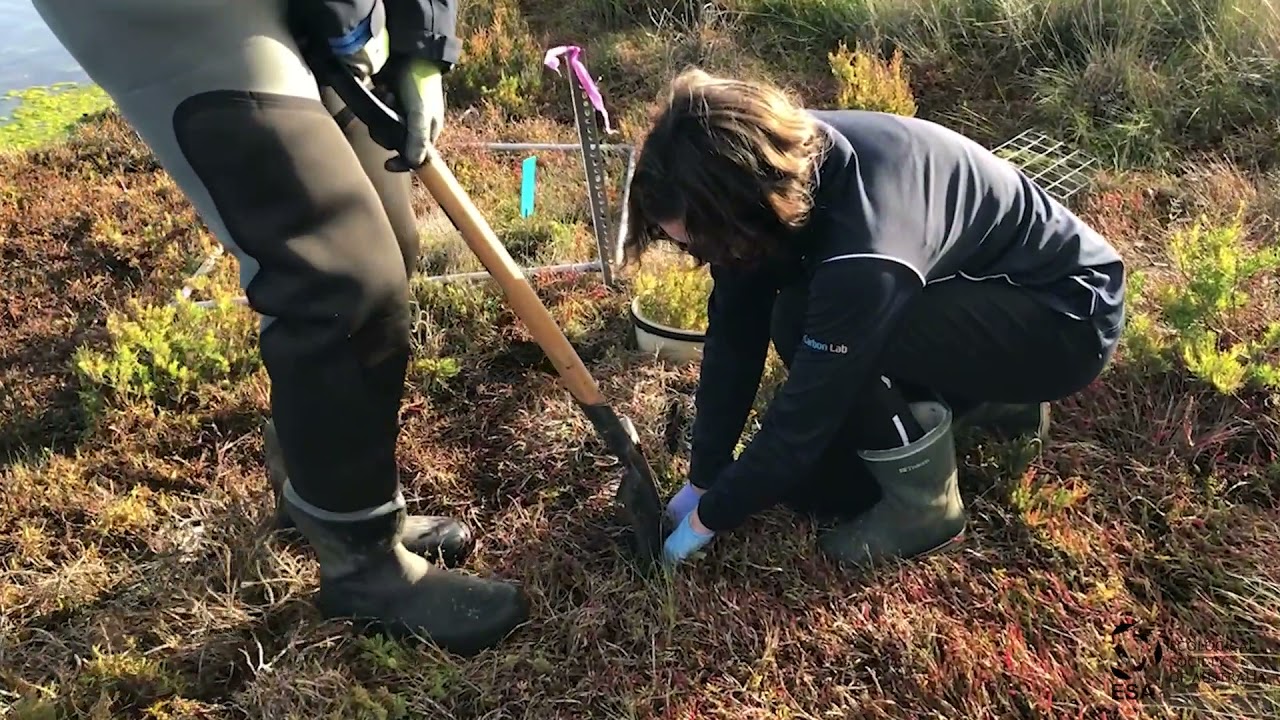 National Science Week 2021 - Ecologists