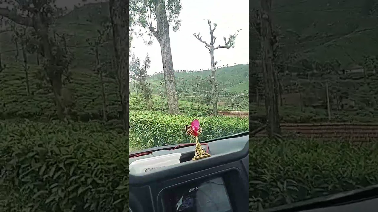வால்பாறை சிறுகுன்ற