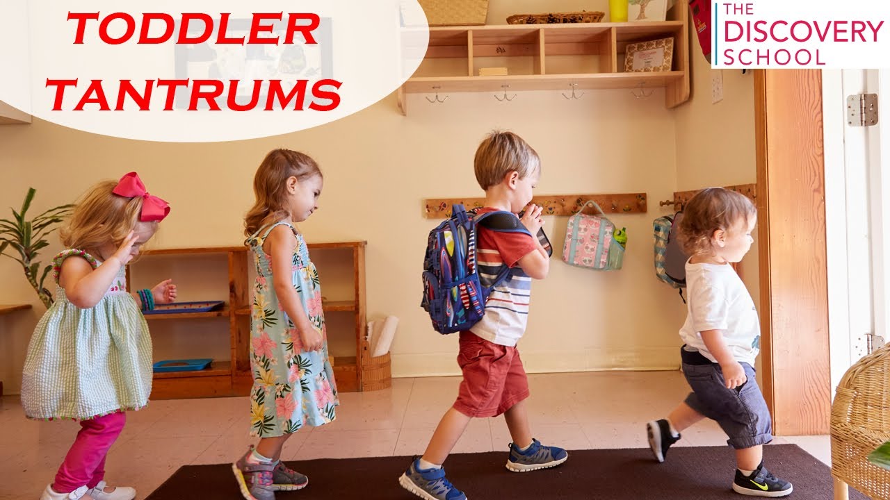 Toddler Tantrums | Why they happen? And how to help?