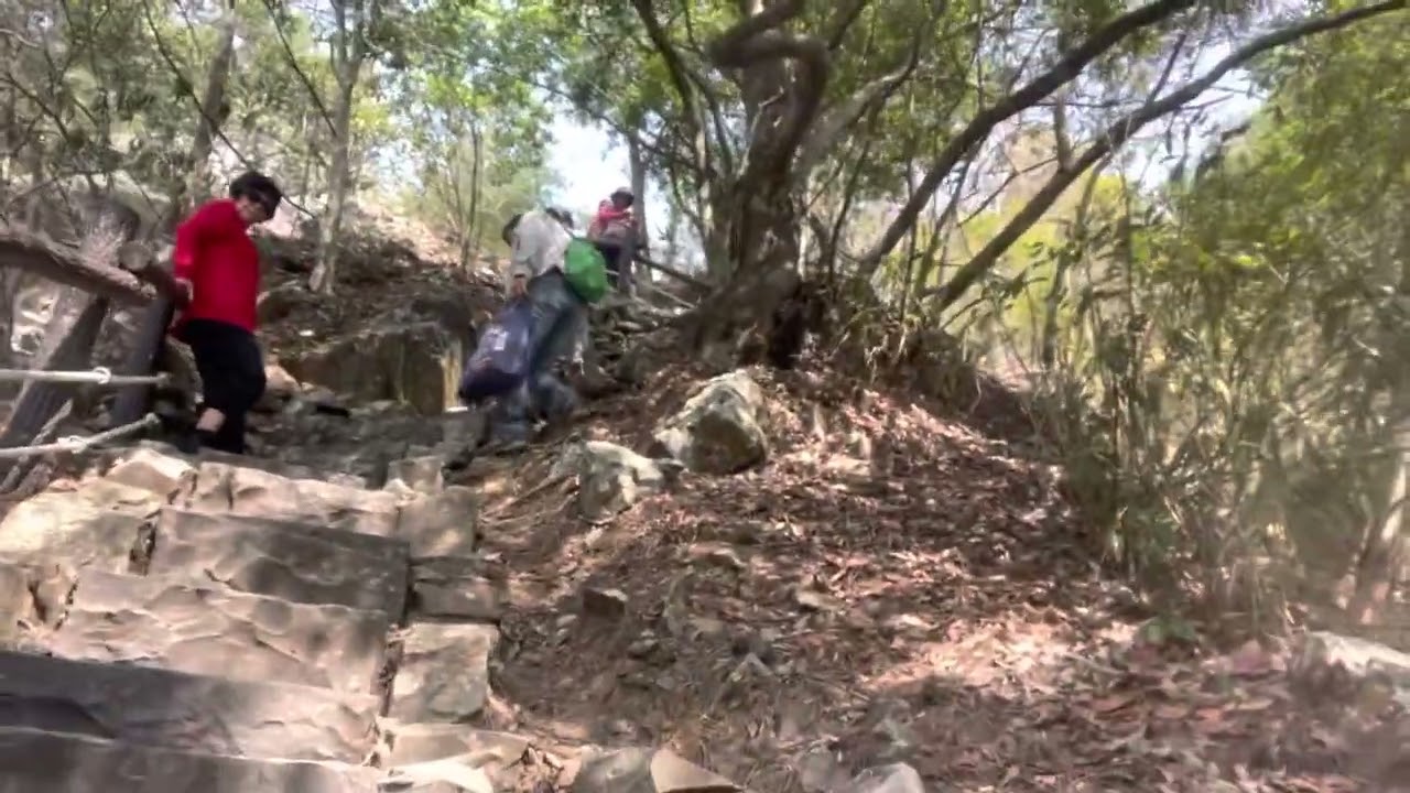 捎來吊橋段的步道風景秀麗，吸引不少遊客前來。我很喜歡這步道的維護風格。走起來相當舒服。建議可以繞谷關吊橋回去走O形路線。20230225-谷關七雄-04波津加山, 1772m