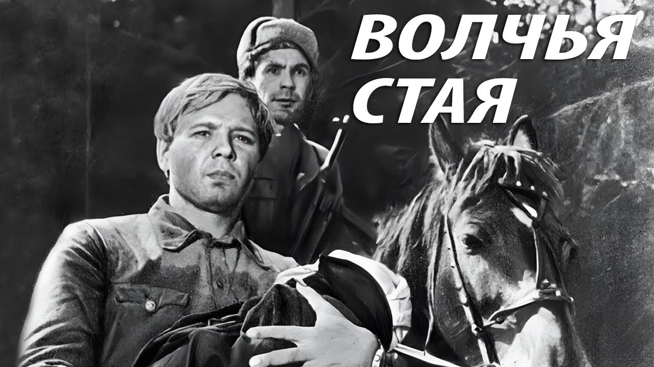 Волчья стая