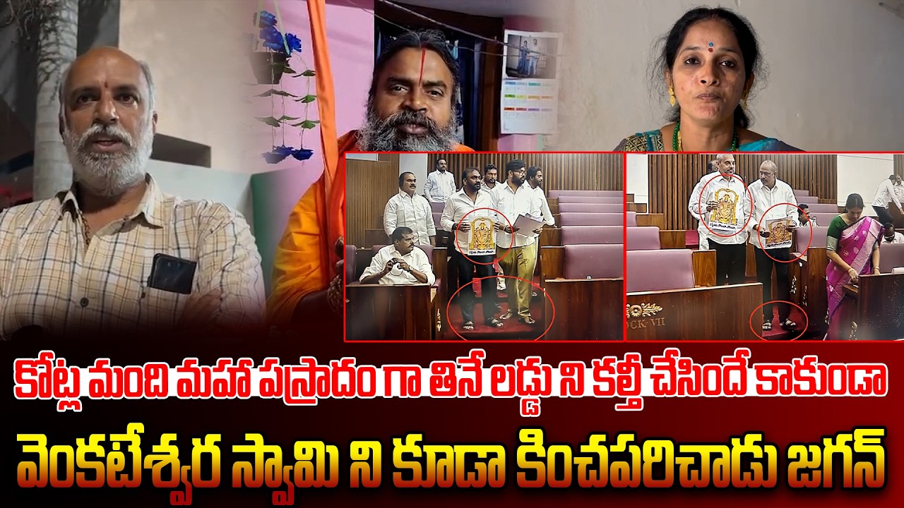 లడ్డు ని కల్తీ చేసిందే కాకుండా వెంకటేశ్వర స్వామి ని కూడా కించపరిచాడు జగన్ | kaltiladducase | 6R9NEWS