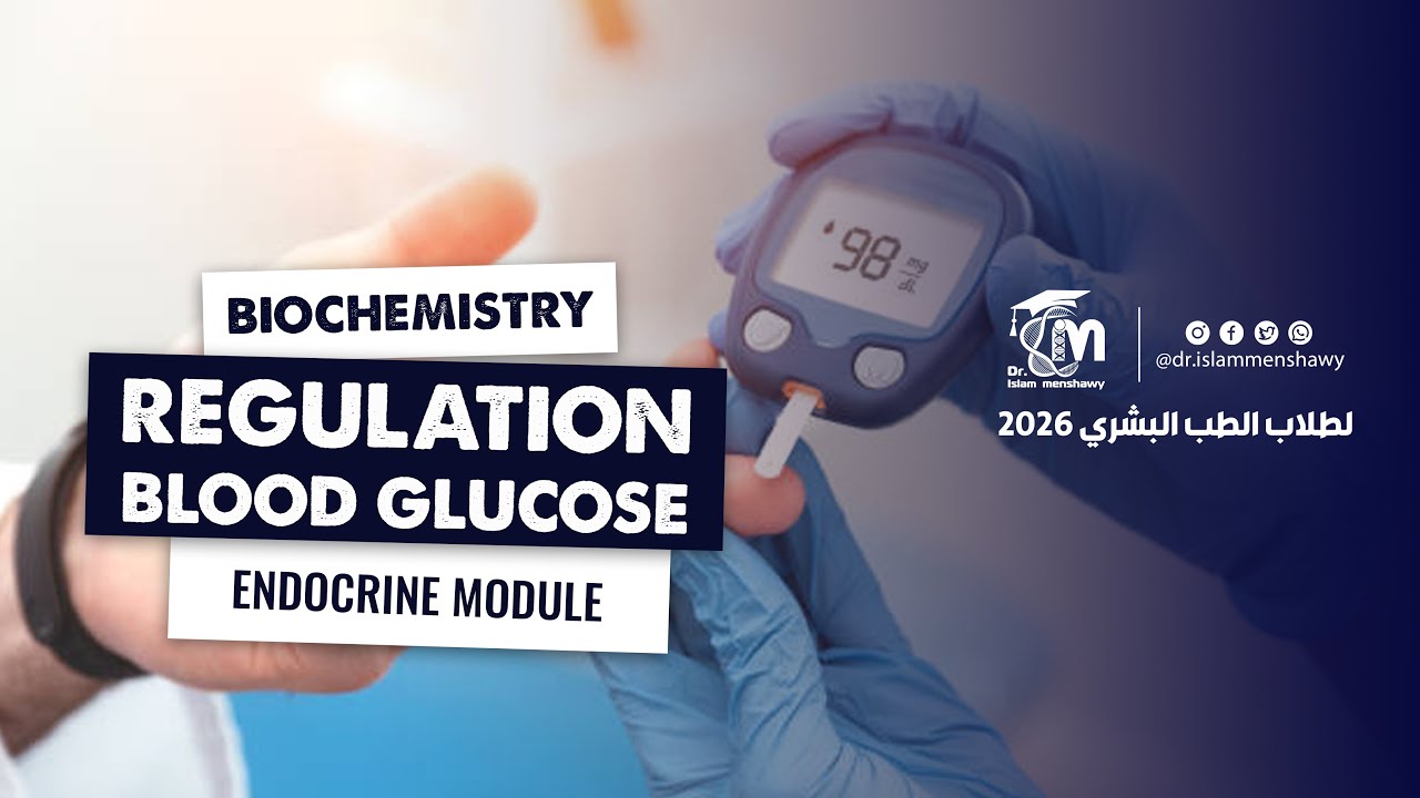 Biochemistry  I  Regulation of Blood Glucose Level - Endocrine Module