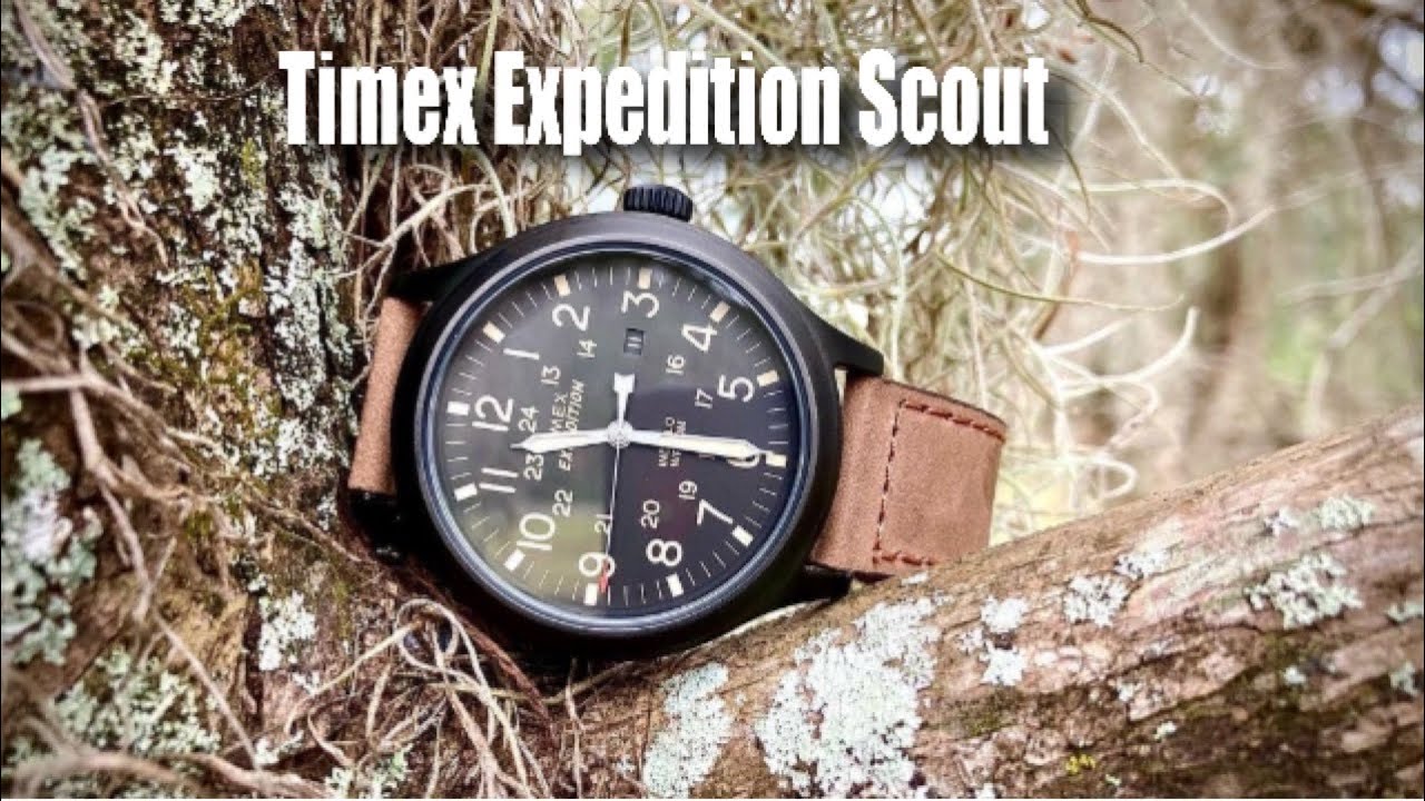 | Timex Expedition Hands On Review  | Best Field Watch Under $60