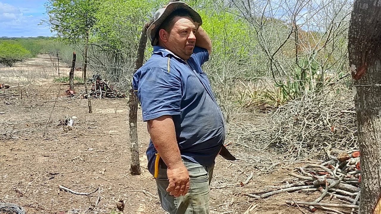 ALINHADO A CERCA ESTACAS NO LUGAR E TRÊS FIO DE ARAME ESTICADO FALTA SÓ @