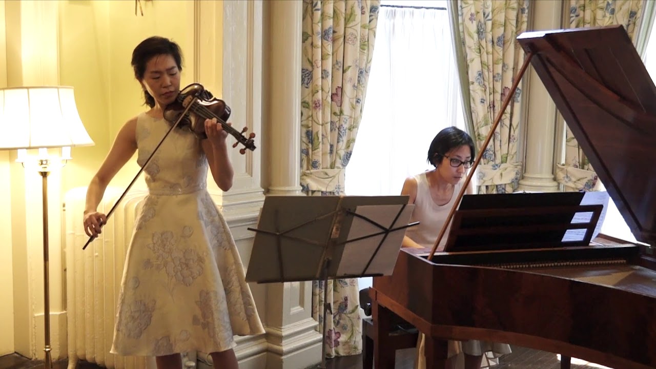 Schubert: Violin Sonata in A minor, D. 385 - movement 1 excerpt