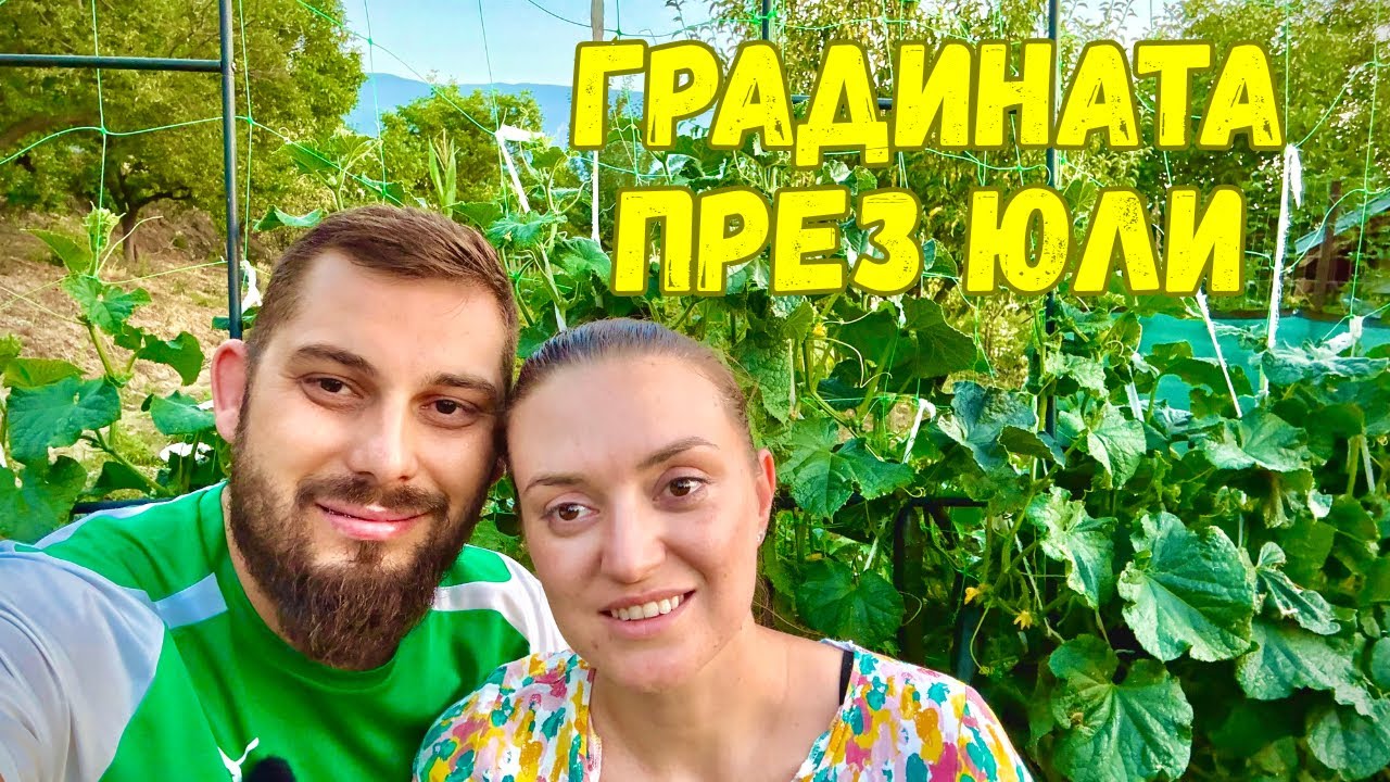 ЖИВОТ НА СЕЛО: Градината на мечтите - От хаос към красота