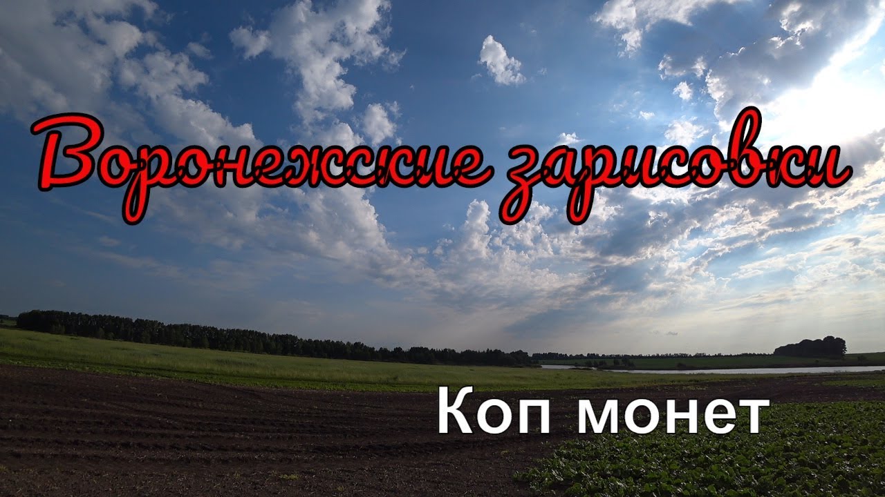 Воронежские зарисовки коп монет 2019 фильм 1 коп в Воронеже