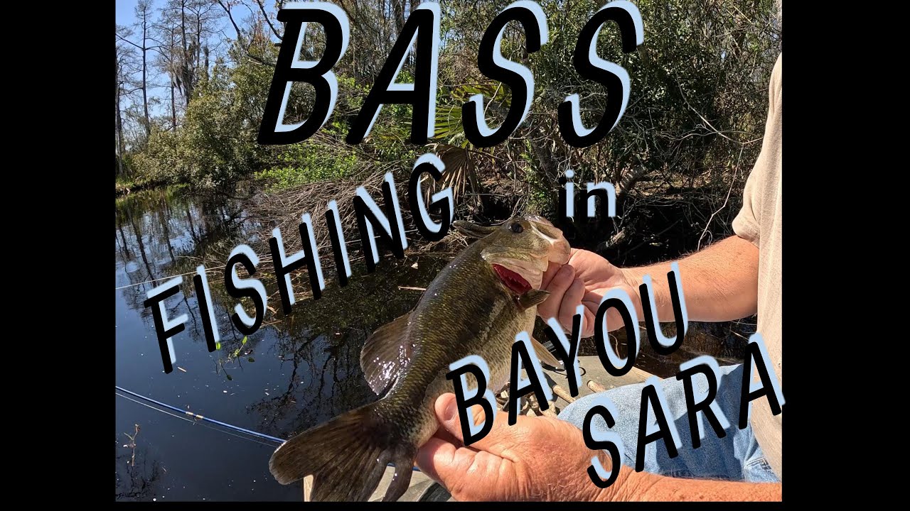 Bass Fishing in Bayou Sara Mobile Tensaw Delta