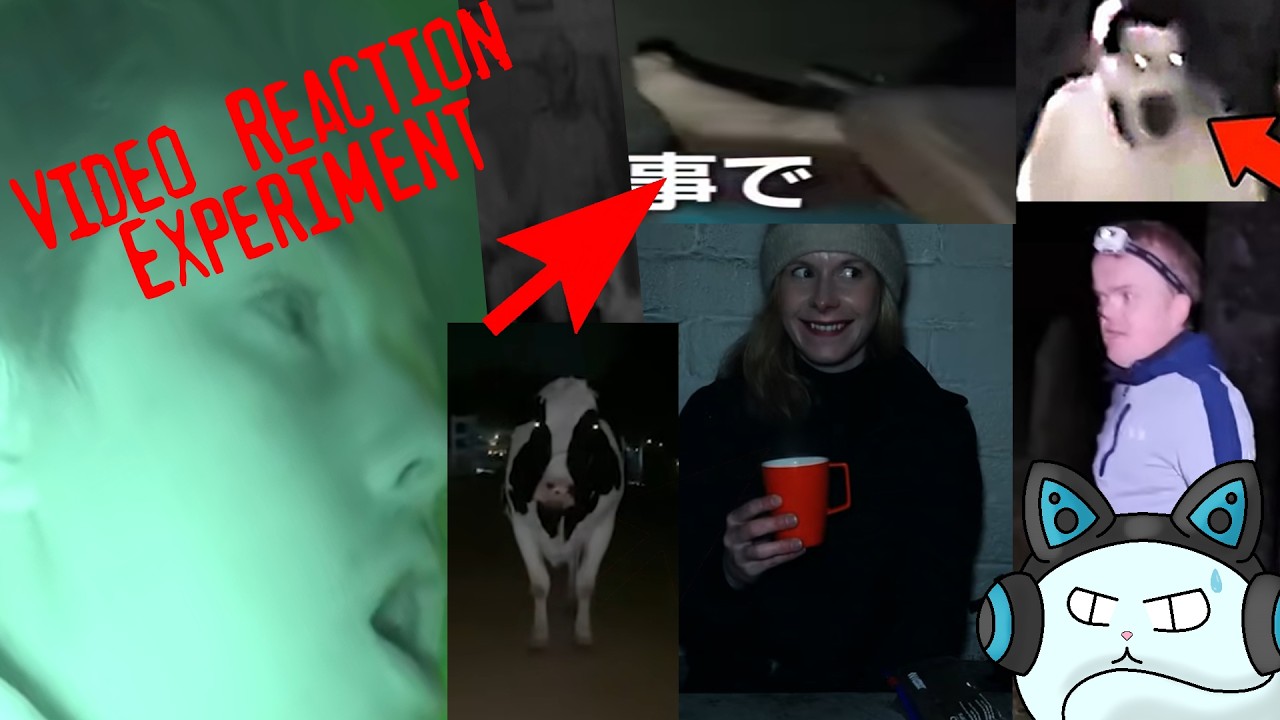 [Chilling Thursday] Video Reaction Experiment #12
