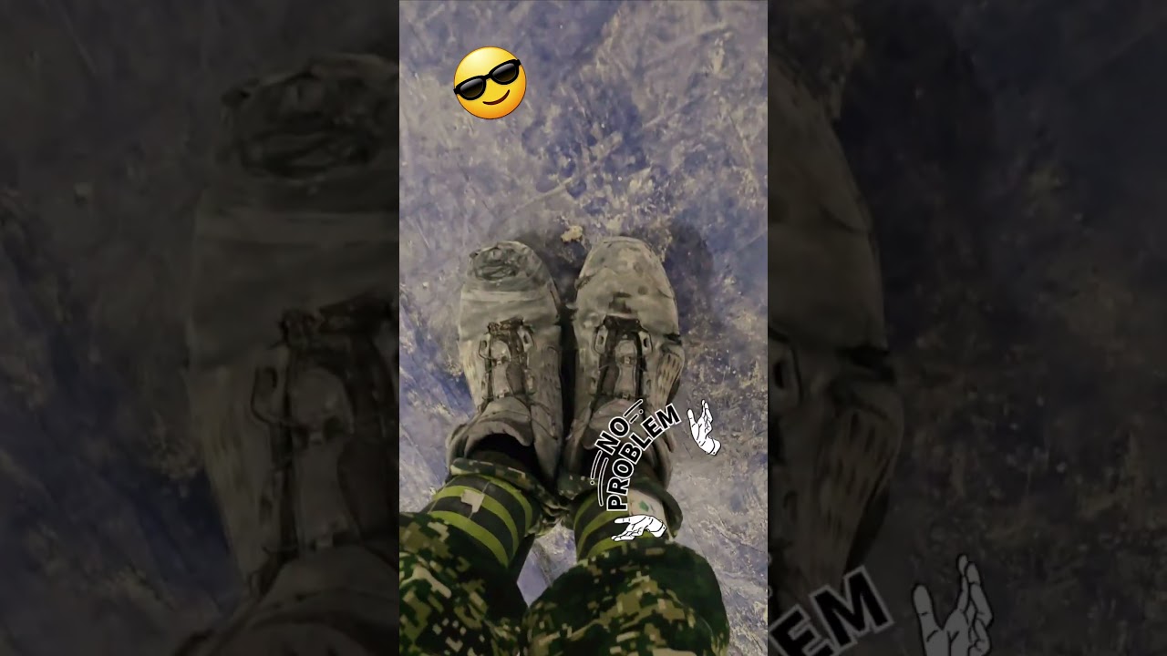 먼지가많아 휴식개짱🦮
