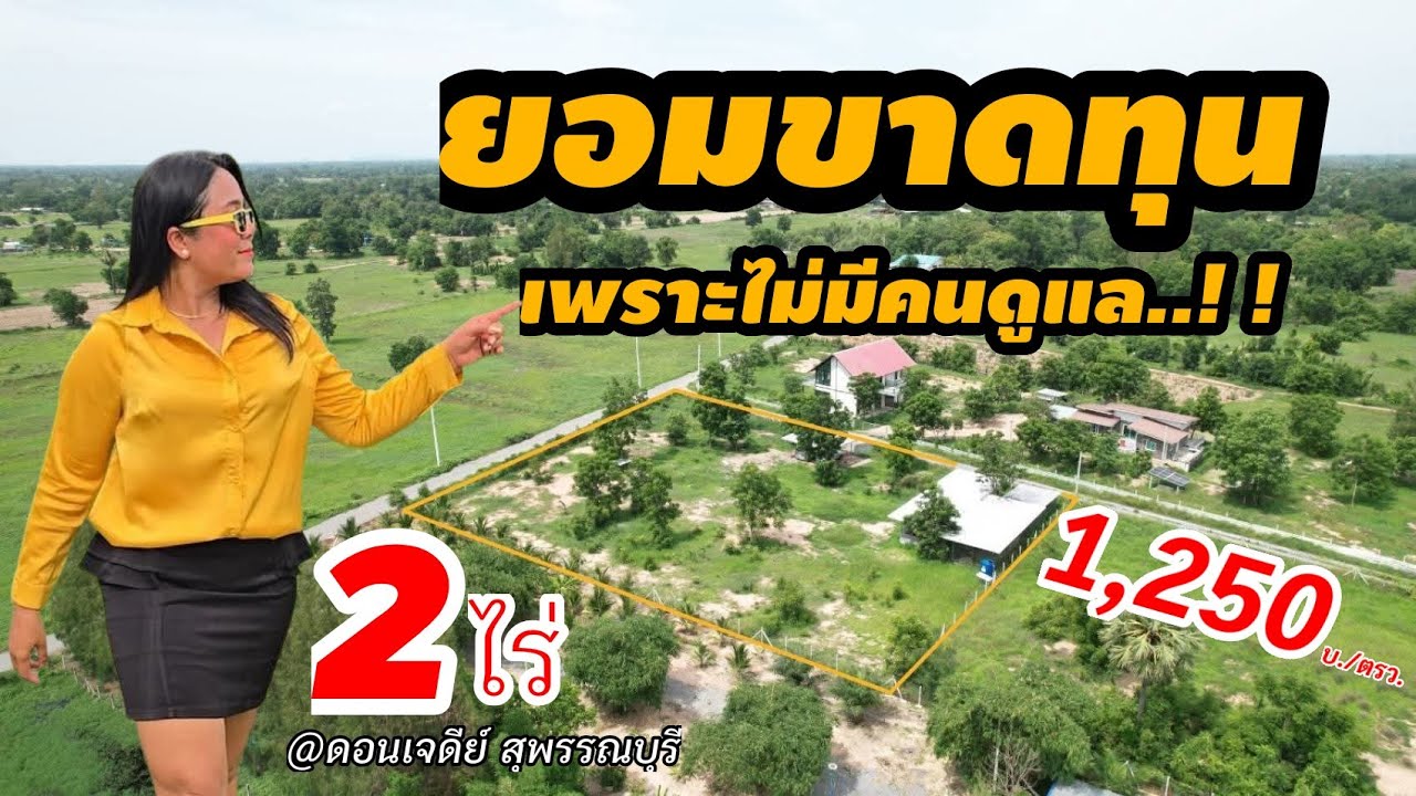 ขายประชด...เพราะไม่มีคนดูแล ที่ดินพร้อมสิ่งปลูกสร้าง ติดถนน 2ด้าน ล้อมรั้วแล้ 2ไร่ [EP.1983]
