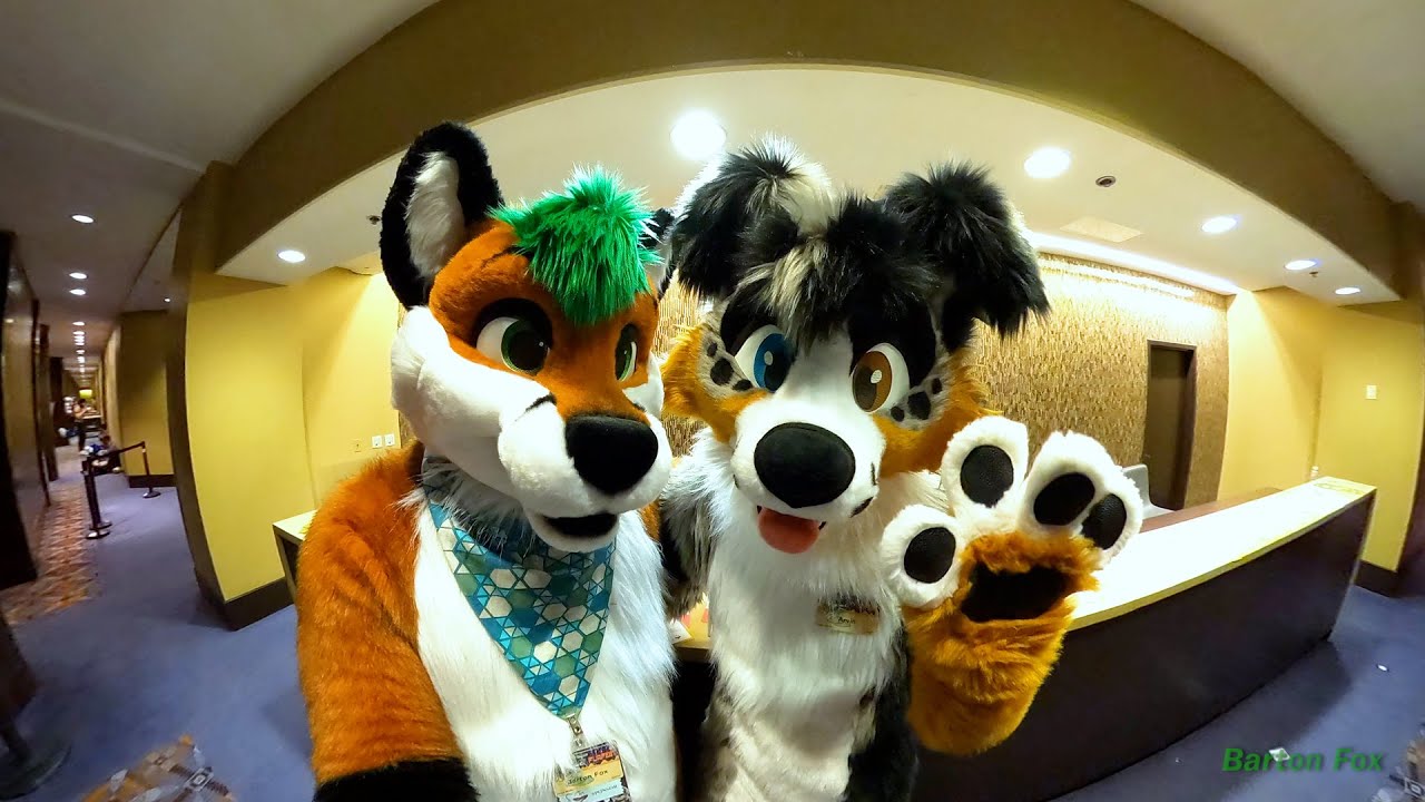 Midwest FurFest 2021 (MFF 2021) — случайные клипы