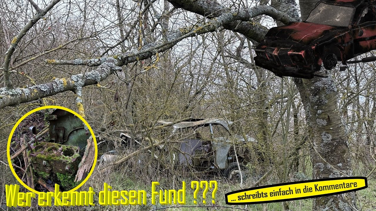 Auf der SUCHE 👀 nach dem verschollenen AUTOWRACK 🚗  #explore #abandoned #cars