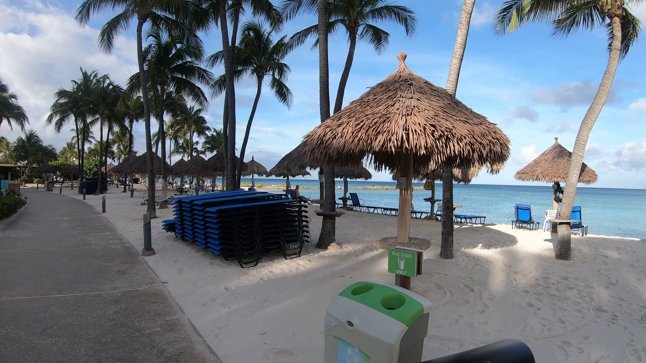 Aruba Divi Phoenix Resort