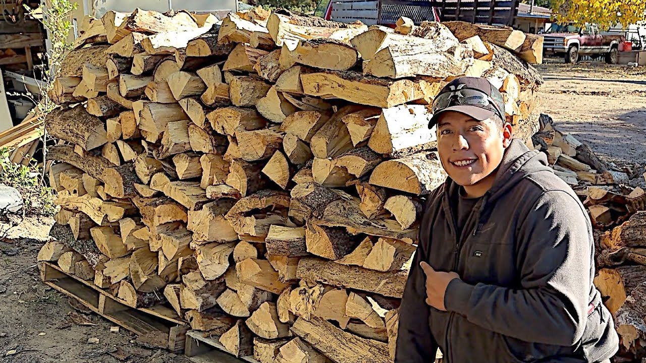 If This Isn't Easy Firewood Harvest I Don't Know What Is!