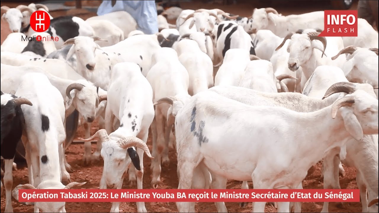 OPERATION TABASKI 2025 - RENFORCEMENT DE LA COOPERATION SUD-SUD ENTRE LE MALI ET LE SENEGAL
